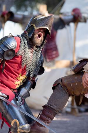 Anno 1392 14 C Armutan Mikael Busi.jpg