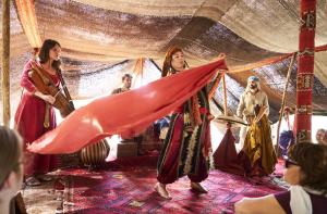 Dayazell 10 C Armutan Steven Fremont.jpg