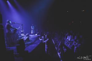 Dayazell 32 C Armutan C ELP La Cigale.jpg