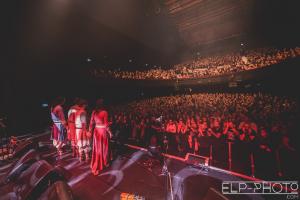 Dayazell 37 C Armutan ELP Olympia.jpg