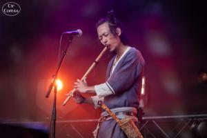 Dayazell 40 C Armutan TirTomas Castlefest.jpg