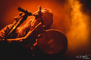 Dayazell 43 C Armutan ELP La Cigale.jpg