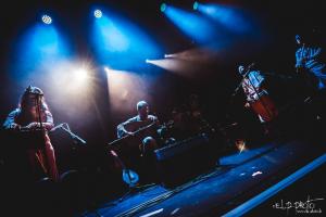 Dayazell 48 C Armutan ELP Trabendo.jpg