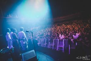 Dayazell 50 C Armutan ELP La Cigale.jpg