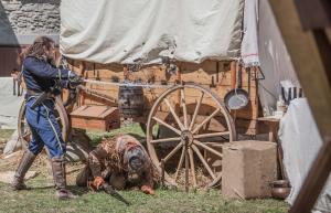 Far West 27 C Armutan Simon Garnier Ville de Megeve.jpg